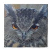 Wise One Tegeltje (Voorkant)