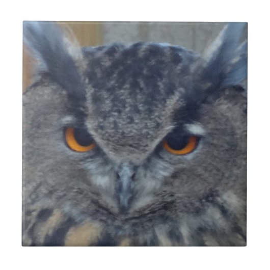 Wise One Tegeltje (Voorkant)