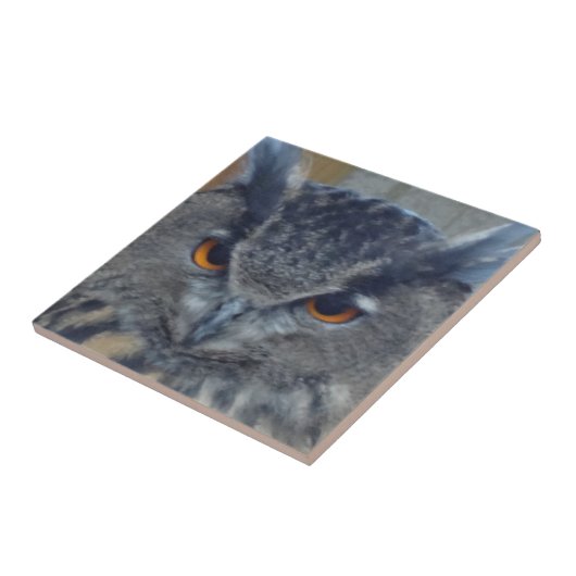 Wise One Tegeltje (Zijkant)