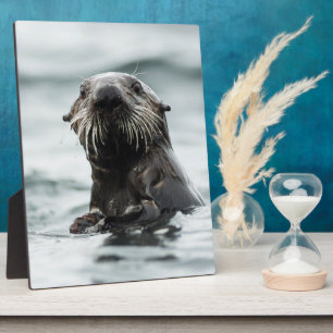 Wise Otter Fotoplaat