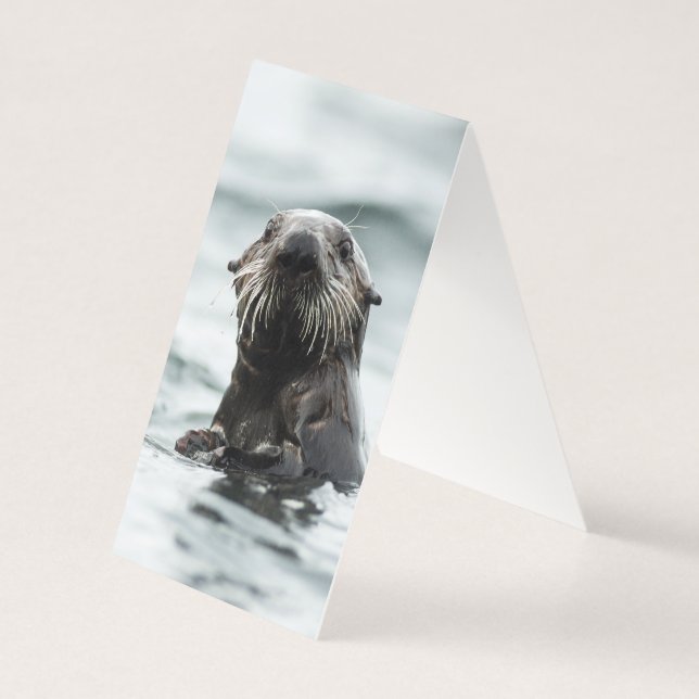Wise Otter Kaart (Achterkant)