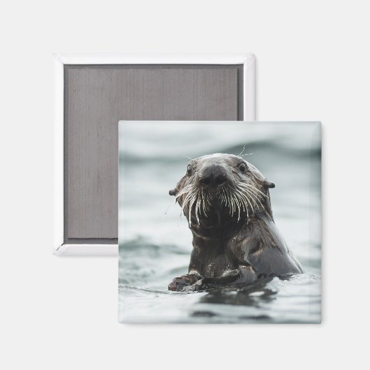 Wise Otter Magneet (Voorkant / Achterkant)