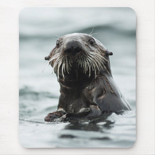 Wise Otter Muismat (Voorkant)
