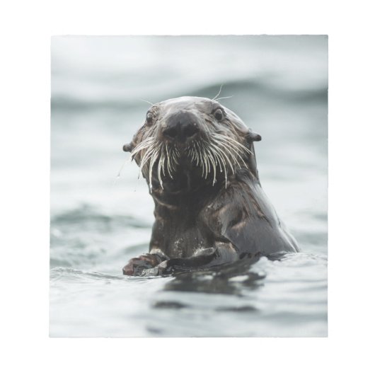 Wise Otter Notitieblok (Voorkant)