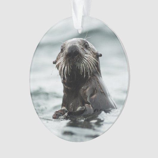 Wise Otter Ornament (voorkant)
