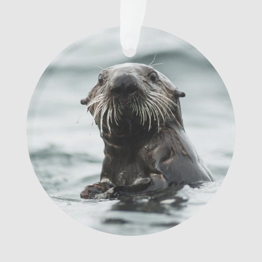 Wise Otter Ornament (voorkant)