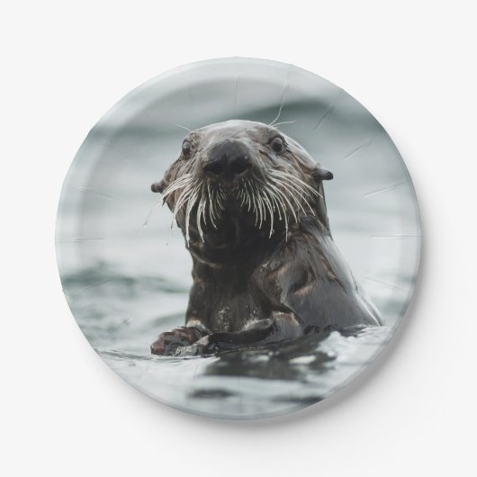 Wise Otter Papieren Bordje (Voorkant)