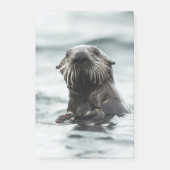 Wise Otter Post-it® Notes (Voorkant)