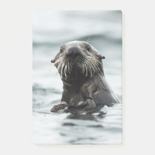 Wise Otter Post-it® Notes