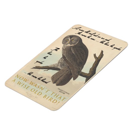 Wise oude uil magneet (Linkerzijde)