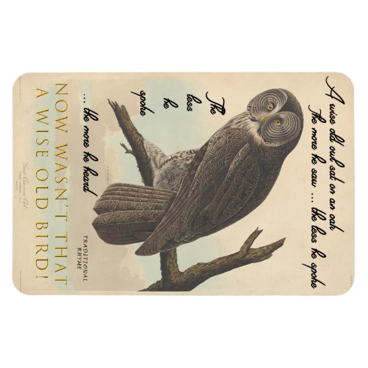 Wise oude uil magneet (Horizontaal)