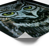 Wise Owl bij nacht Poster (Hoek)