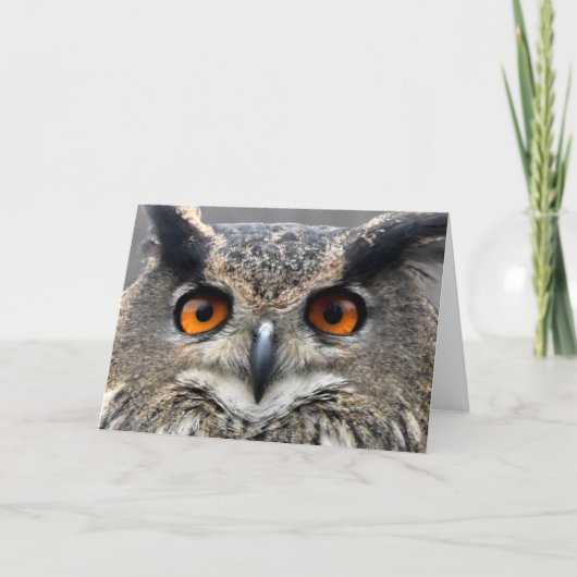 Wise Owl-foto Kaart (Voorkant)