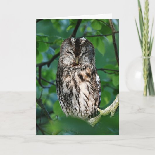 Wise owl kaart (Voorkant)