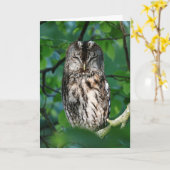 Wise owl kaart (Gele Bloem)