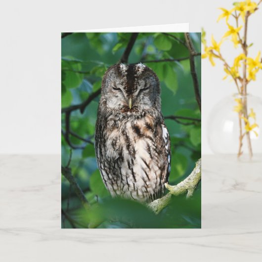 Wise owl kaart (Gele Bloem)