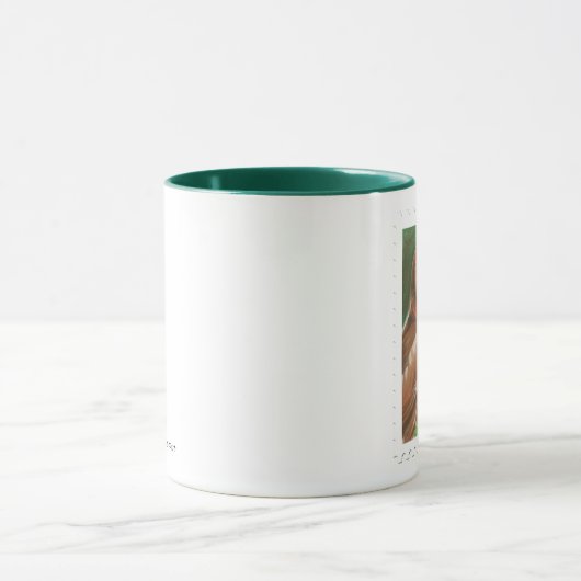 Wise Owl Mok (Midden)