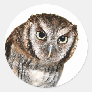 Wise Owl Ronde Sticker