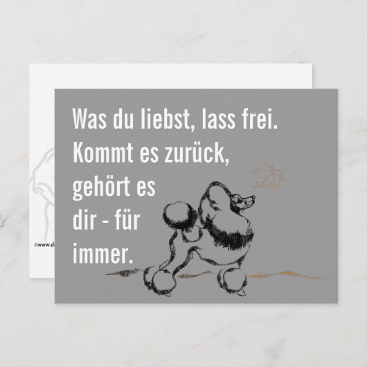 Wise Poodle Briefkaart (Voorkant / Achterkant)