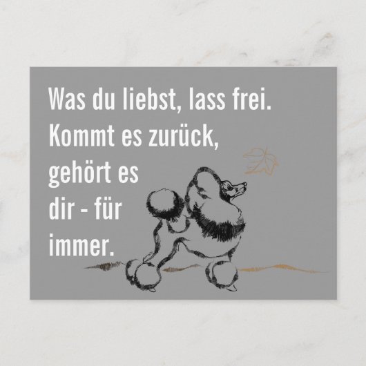 Wise Poodle Briefkaart (Voorkant)