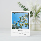 Wise Quotes Spring Floral Briefkaart (Staand voorkant)