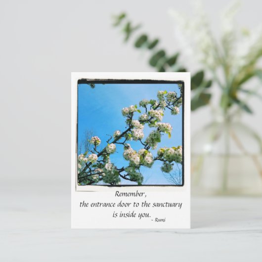 Wise Quotes Spring Floral Briefkaart (Staand voorkant)
