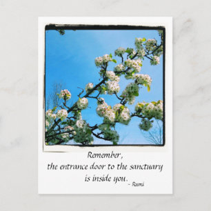 Wise Quotes Spring Floral Briefkaart