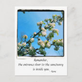 Wise Quotes Spring Floral Briefkaart (Voorkant)