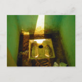 Wisel langs de weg in Tunesië 2 Briefkaart (Voorkant)