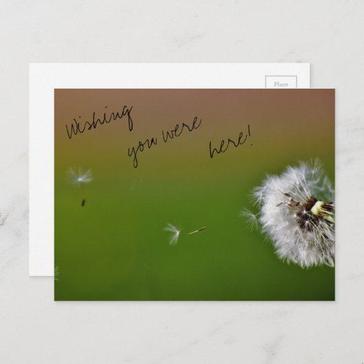 Wish Briefkaart (Voorkant / Achterkant)