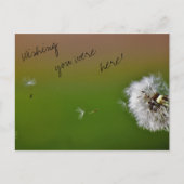 Wish Briefkaart (Voorkant)