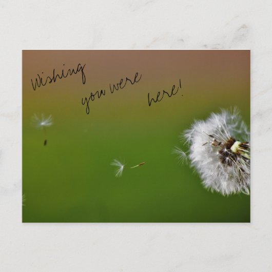 Wish Briefkaart (Voorkant)