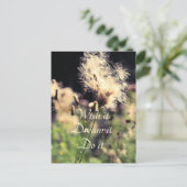 Wish Dream Do Briefkaart (Staand voorkant)