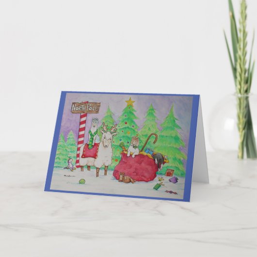 Wish Ewe a Merry Kerstmis Feestdagen Kaart (Voorkant)