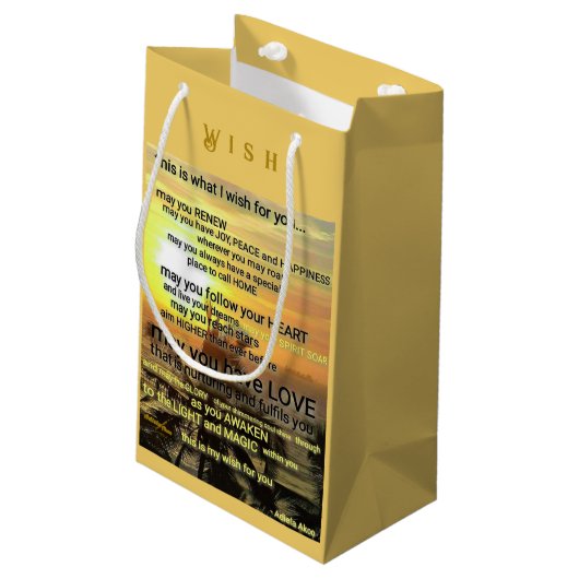 Wish Small Gift Bag van Adiela Akoo Klein Cadeauzakje (Achterkant Gekanteld)