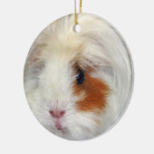Wish van Guinee Pig Keramisch Ornament (Links)