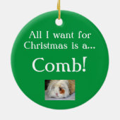 Wish van Guinee Pig Keramisch Ornament (Achterkant)