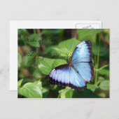 Wish you the best day ever! briefkaart (Voorkant / Achterkant)