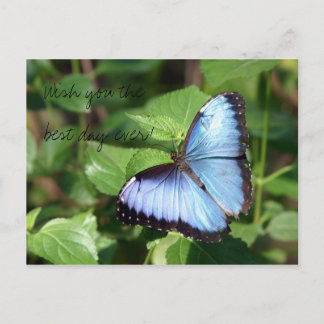 Wish you the best day ever! briefkaart