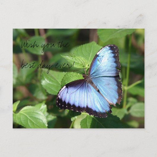 Wish you the best day ever! briefkaart (Voorkant)