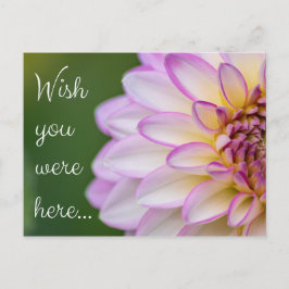Wish you were here... briefkaart