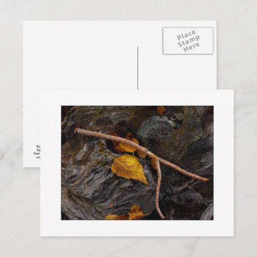 "Wishbone" Briefkaart (Voorkant / Achterkant)