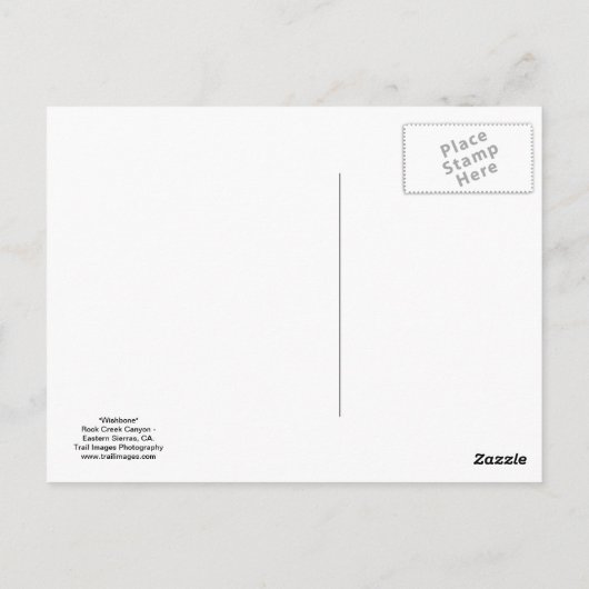 "Wishbone" Briefkaart (Achterkant)