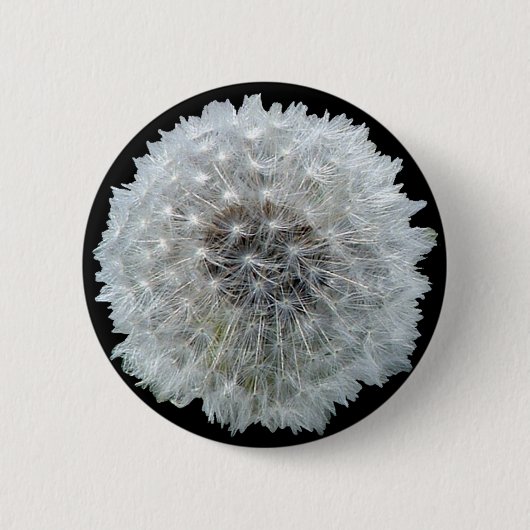 Wishes zijn Dandy Ronde Button 5,7 Cm (Voorkant)