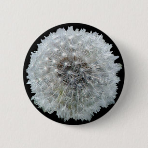 Wishes zijn Dandy Ronde Button 5,7 Cm