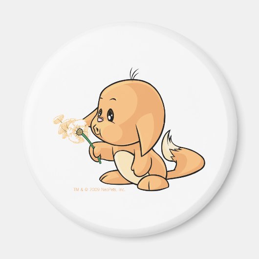 Wishing oranje Kacheek Magneet (Voorkant)