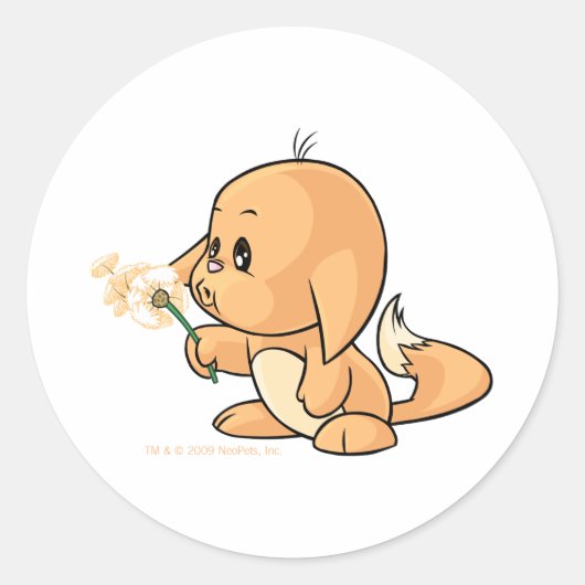 Wishing oranje Kacheek Ronde Sticker (Voorkant)