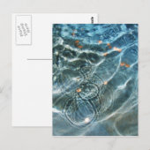 Wishingfontein Briefkaart (Voorkant / Achterkant)