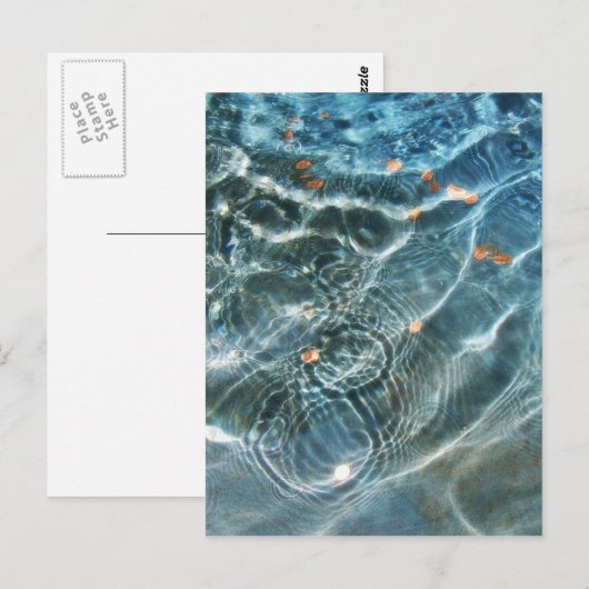 Wishingfontein Briefkaart (Voorkant / Achterkant)