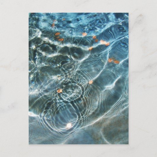 Wishingfontein Briefkaart (Voorkant)